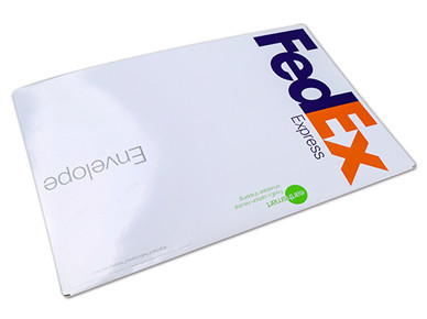 Express document envelope